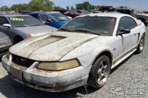 Photo of 2000 Ford Mustang