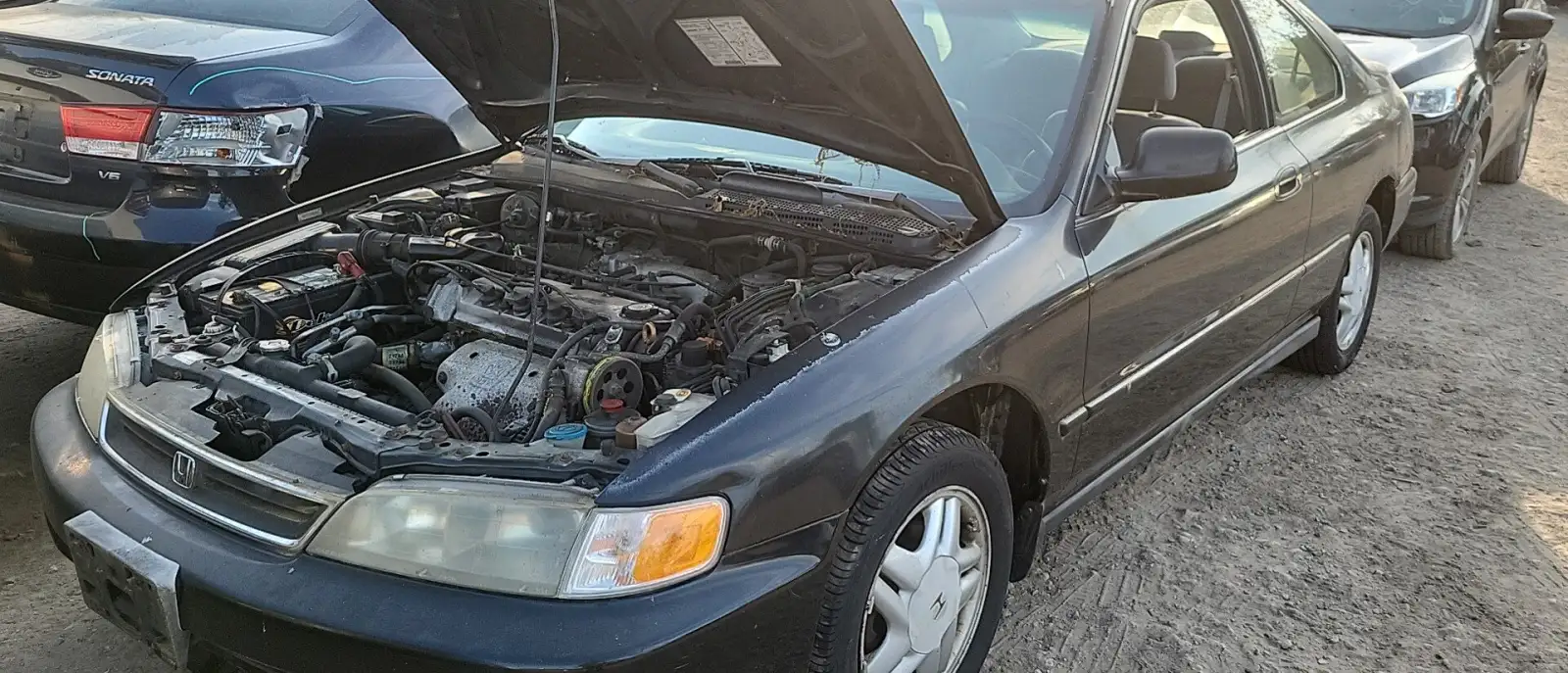 Photo of 1996 Honda Accord