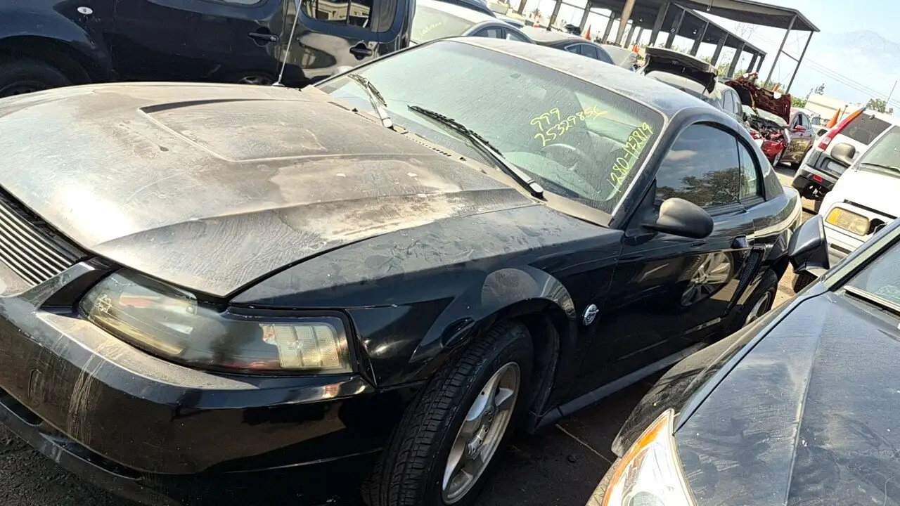 Photo of 2004 Ford Mustang