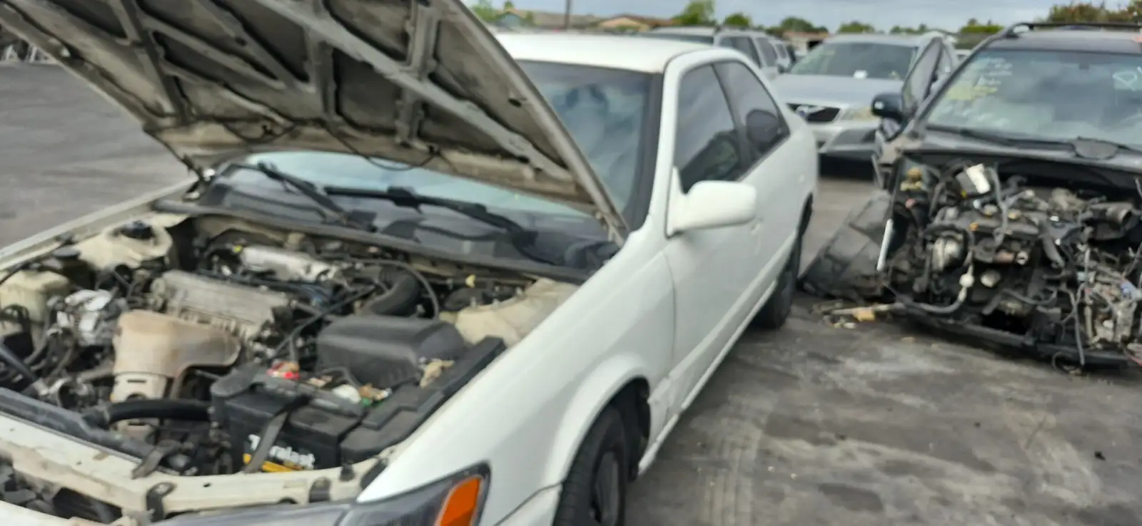 Photo of 1998 Toyota Camry