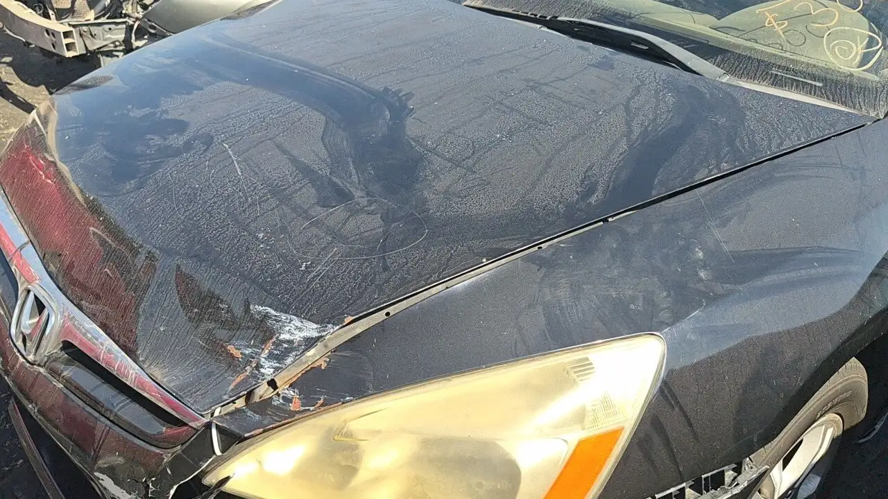 Photo of 2006 Honda Accord