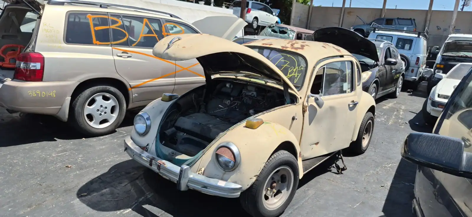Photo of 1976 Volkswagen Beetle