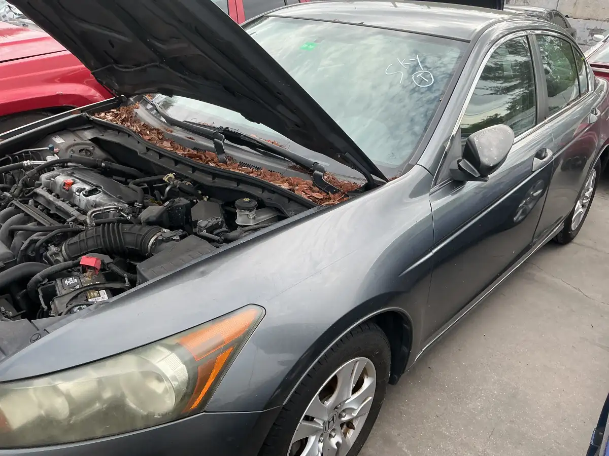 Photo of 2009 Honda Accord