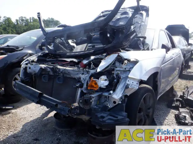 Photo of 2009 Honda Accord