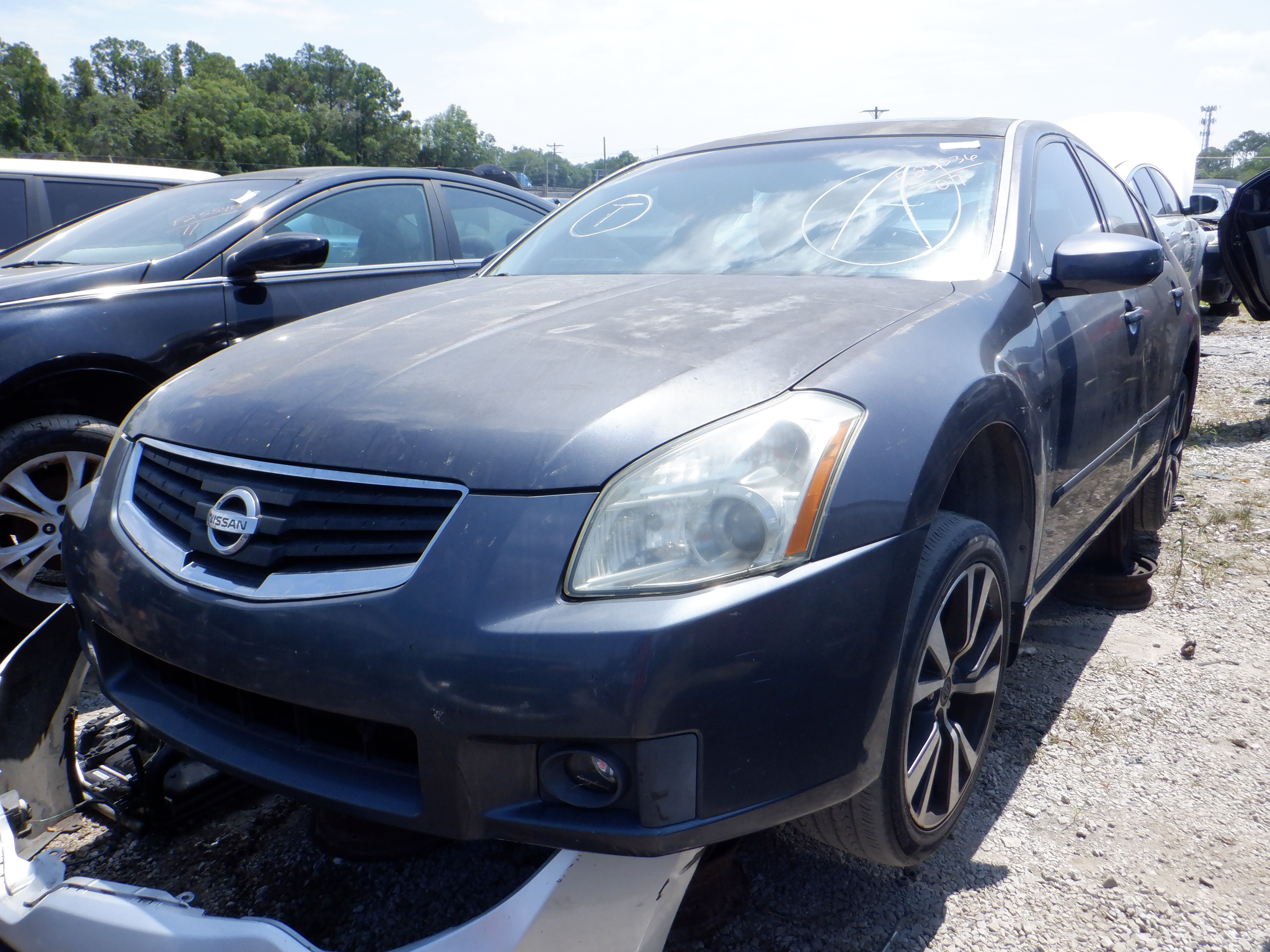 Photo of 2007 Nissan Maxima