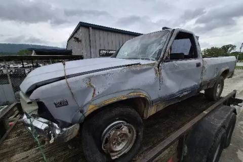 Photo of 1991 Dodge Dakota