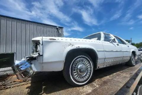 Photo of 1986 Ford Ltd