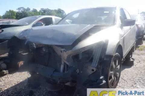 Photo of 2009 Honda Accord