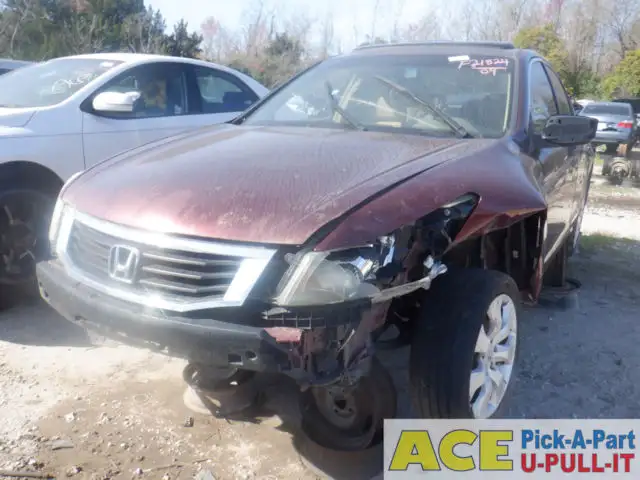 Photo of 2009 Honda Accord
