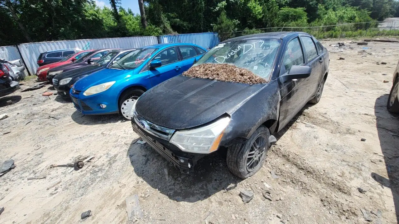 Photo of 2010 Ford Focus