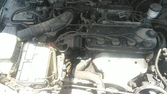Photo of 1996 Honda Accord