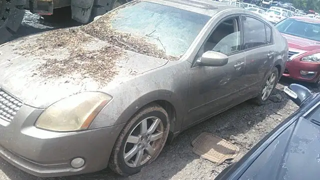 Photo of 2005 Nissan Maxima