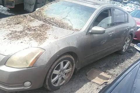Photo of 2005 Nissan Maxima