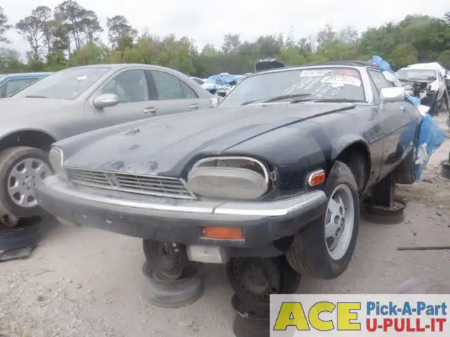 Photo of 1986 Jaguar Xj12