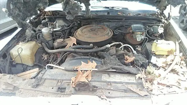 Photo of 1983 Pontiac Grand Prix