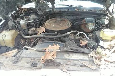 Photo of 1983 Pontiac Grand Prix