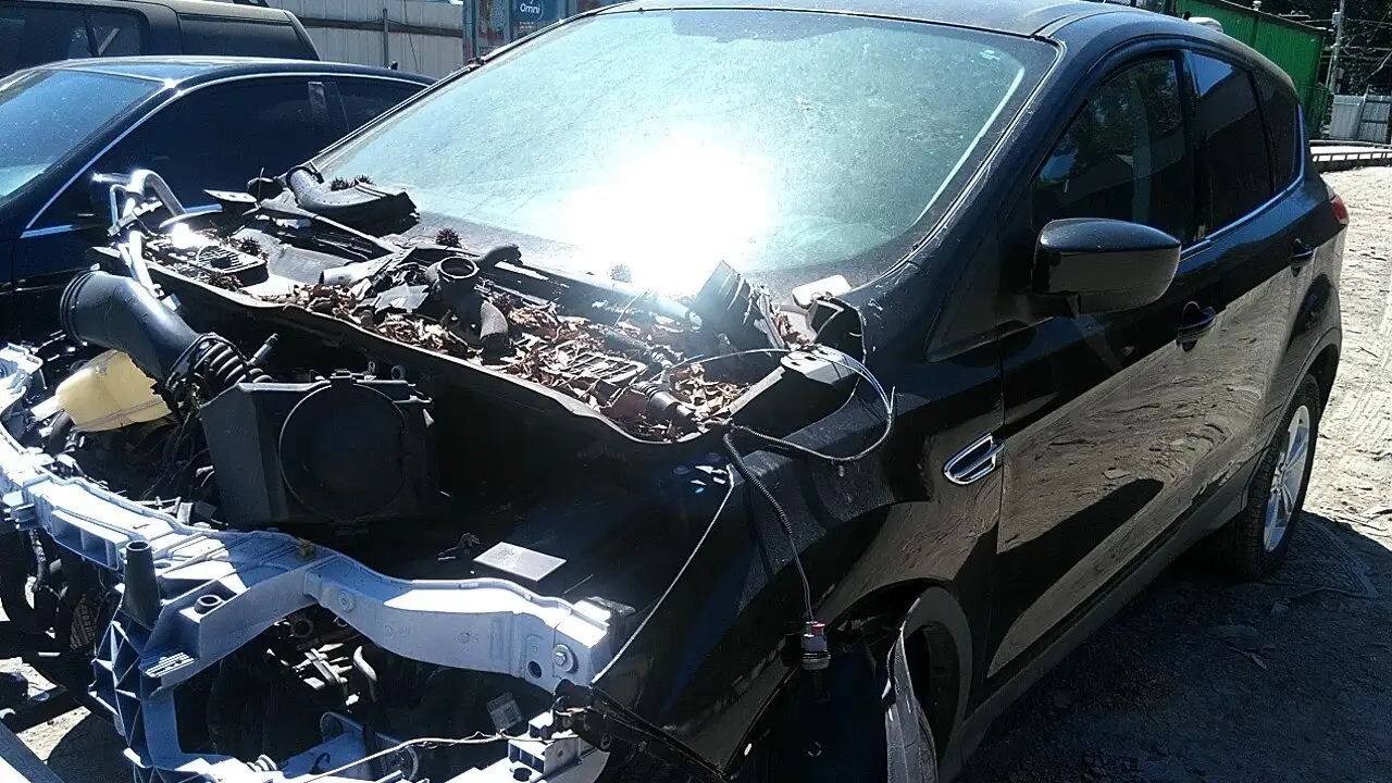 Photo of 2015 Ford Escape
