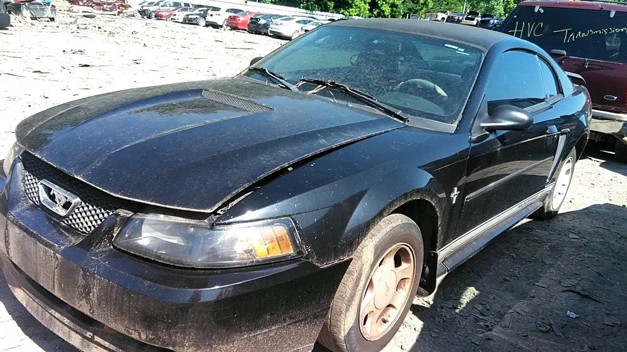Photo of 2001 Ford Mustang
