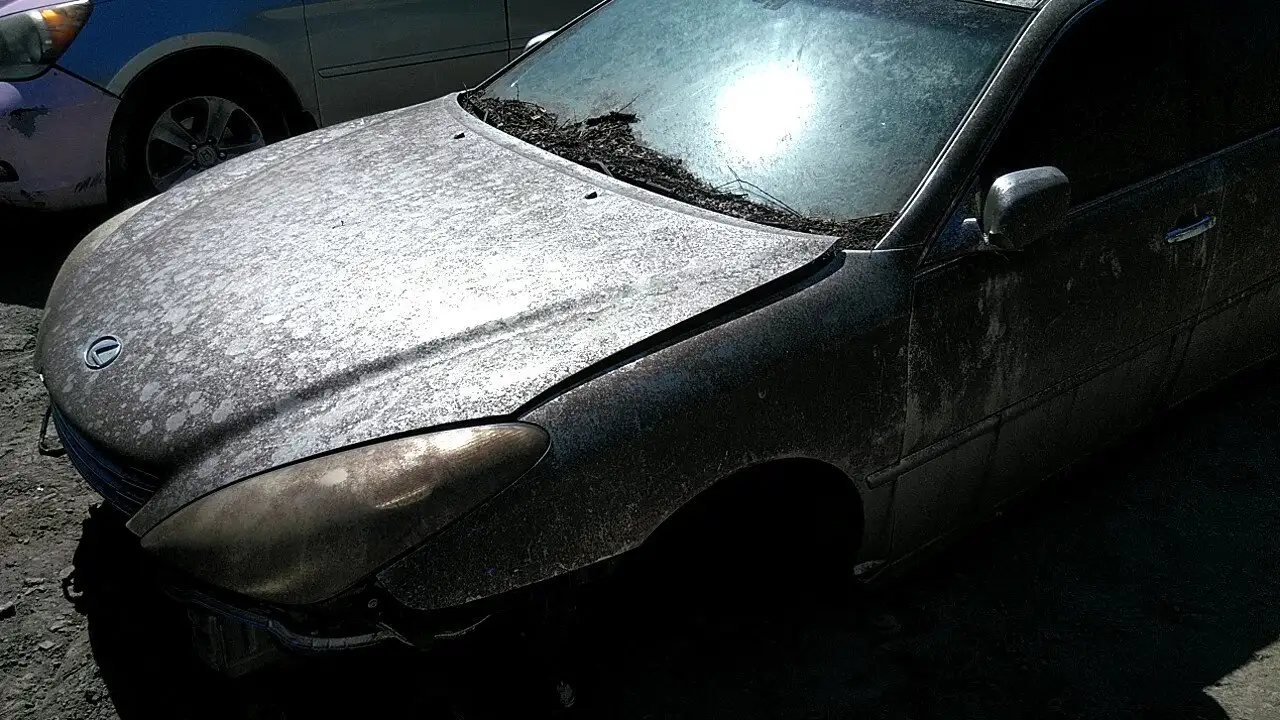 Photo of 2004 Lexus Es330