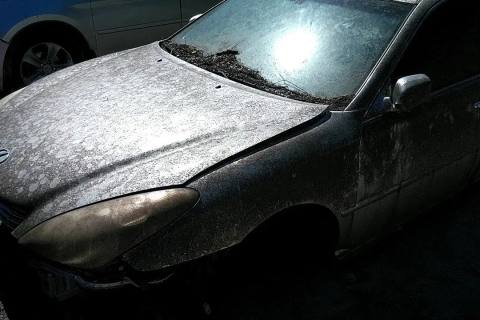 Photo of 2004 Lexus Es330