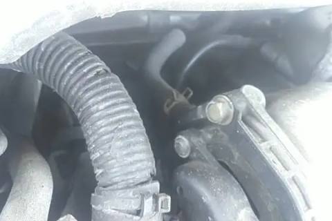 Photo of 2006 Nissan Maxima