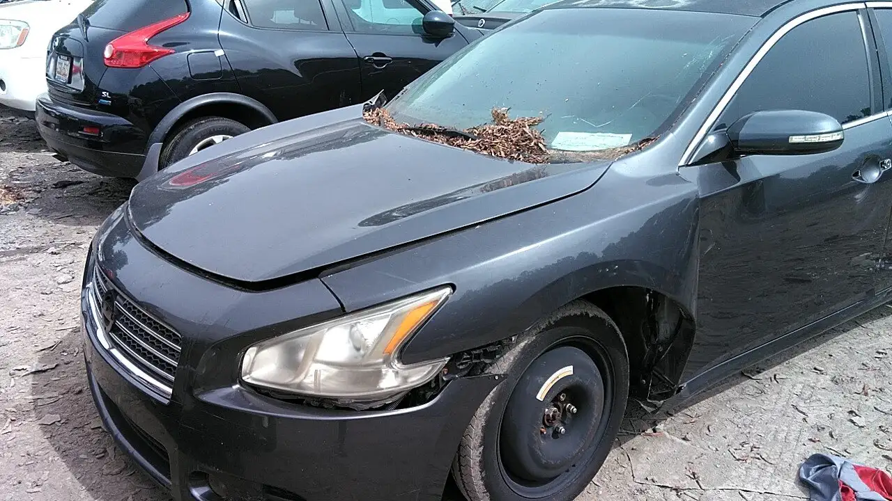 Photo of 2010 Nissan Maxima