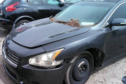 Photo of 2010 Nissan Maxima