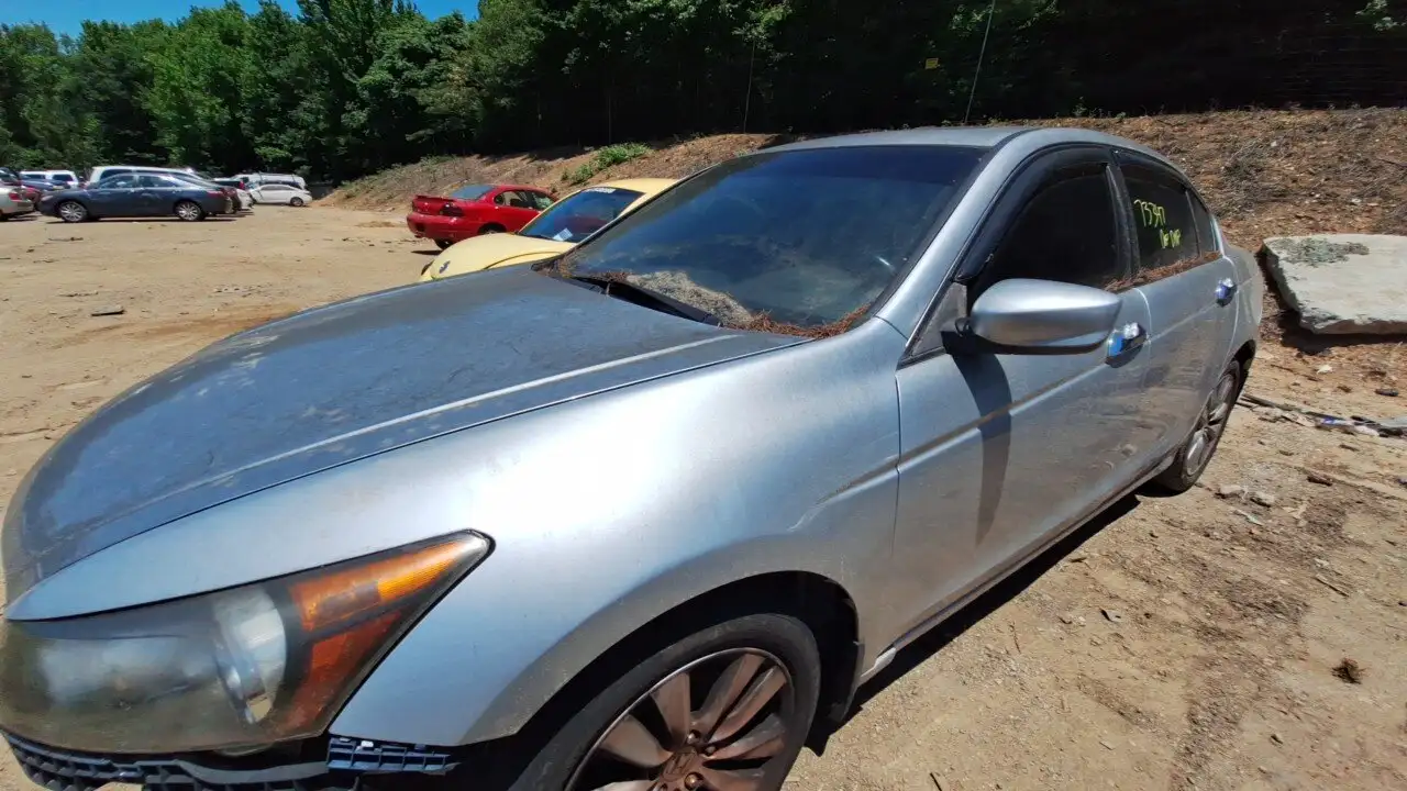 Photo of 2011 Honda Accord