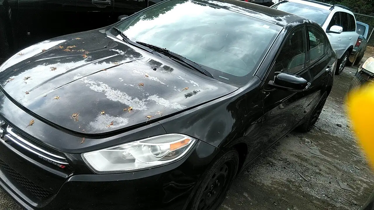Photo of 2013 Dodge Dart
