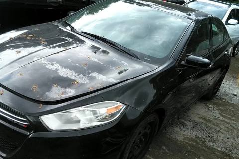 Photo of 2013 Dodge Dart