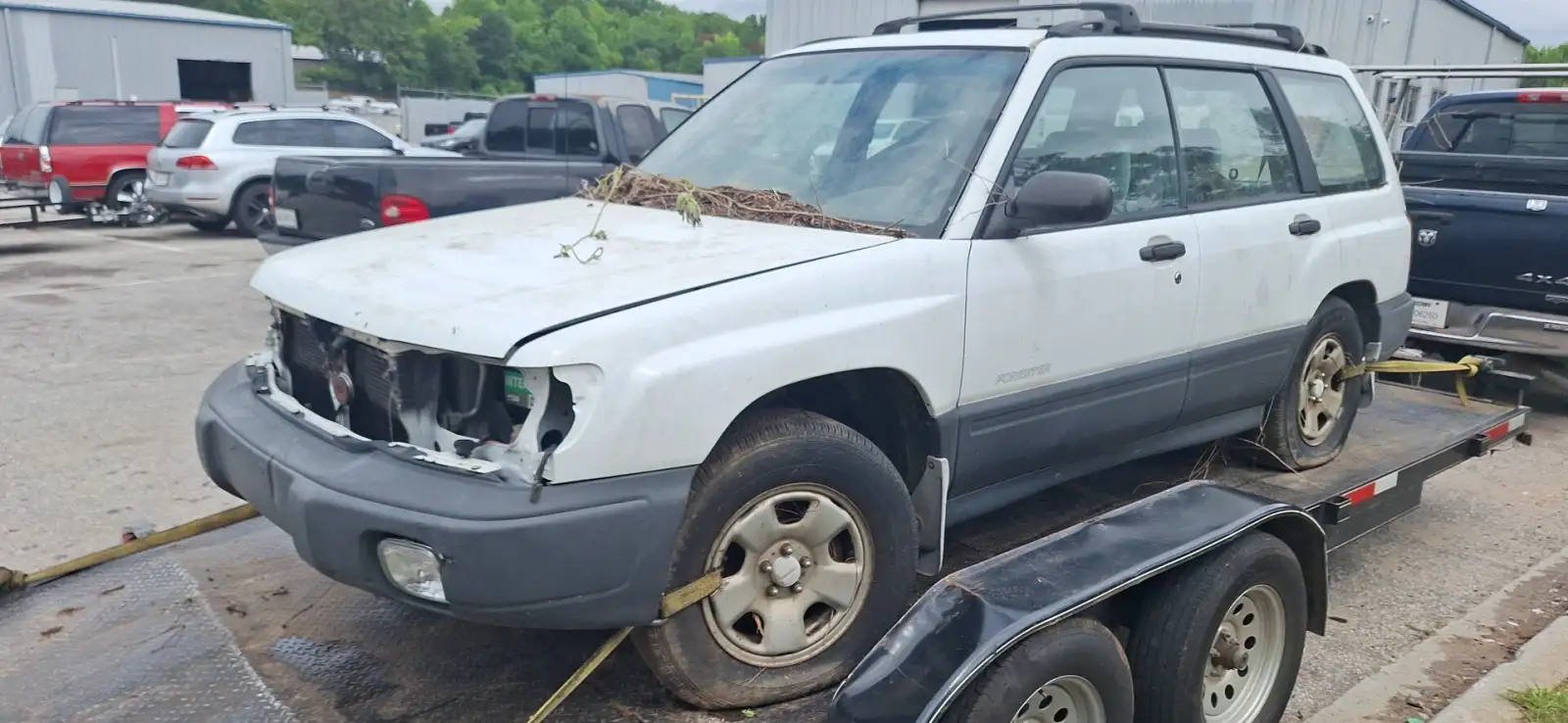 Photo of 1999 Subaru Forester
