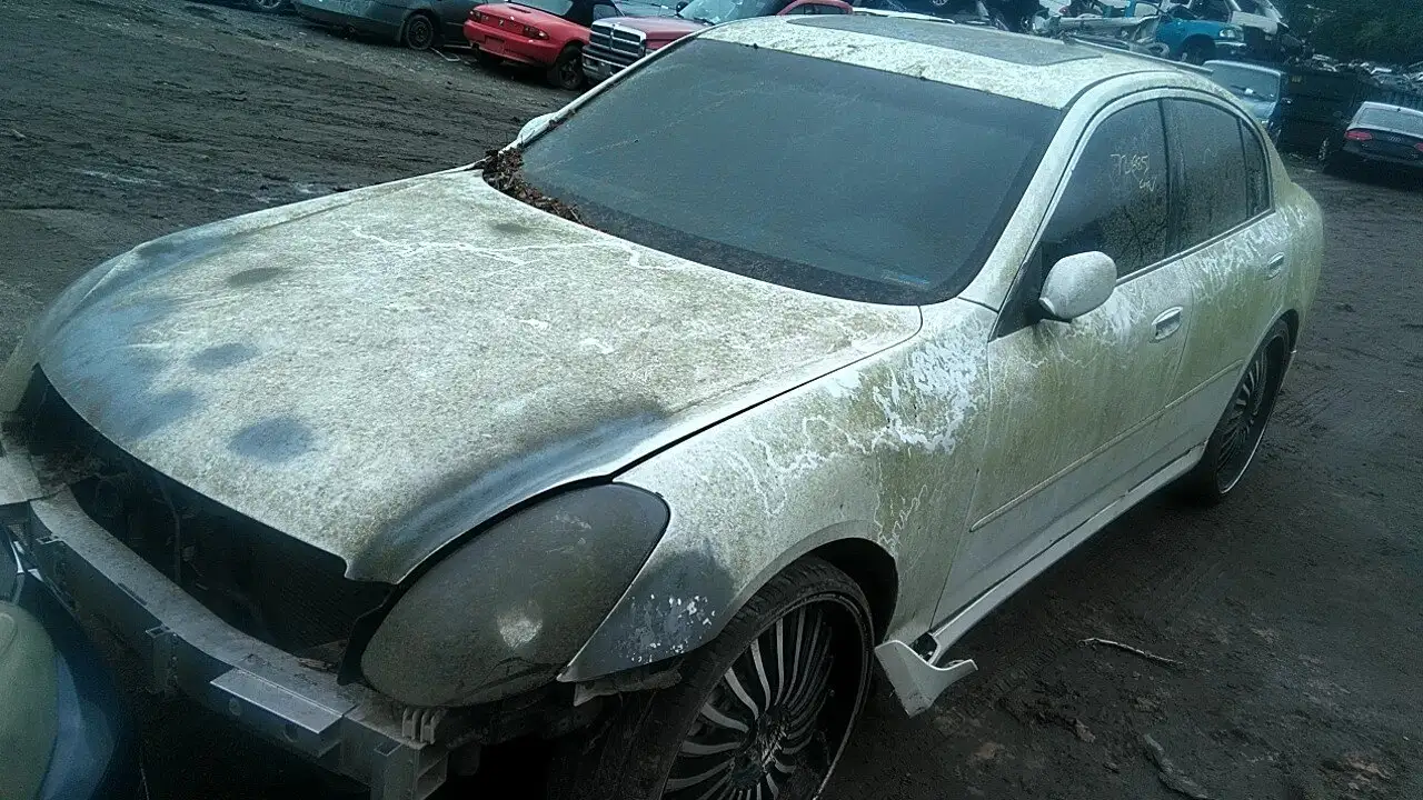 Photo of 2005 Infiniti G35