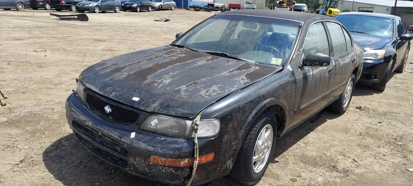 Photo of 1995 Nissan Maxima