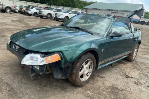 Photo of 2003 Ford Mustang