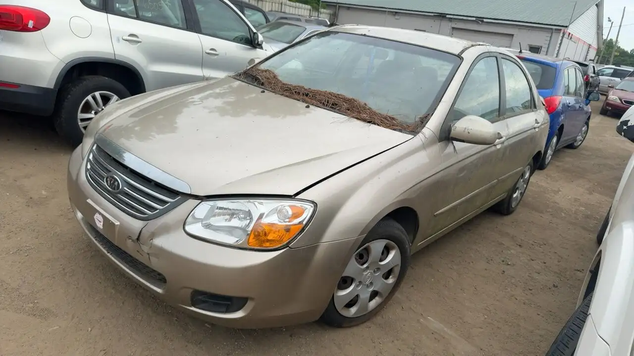 Photo of 2008 Kia Spectra