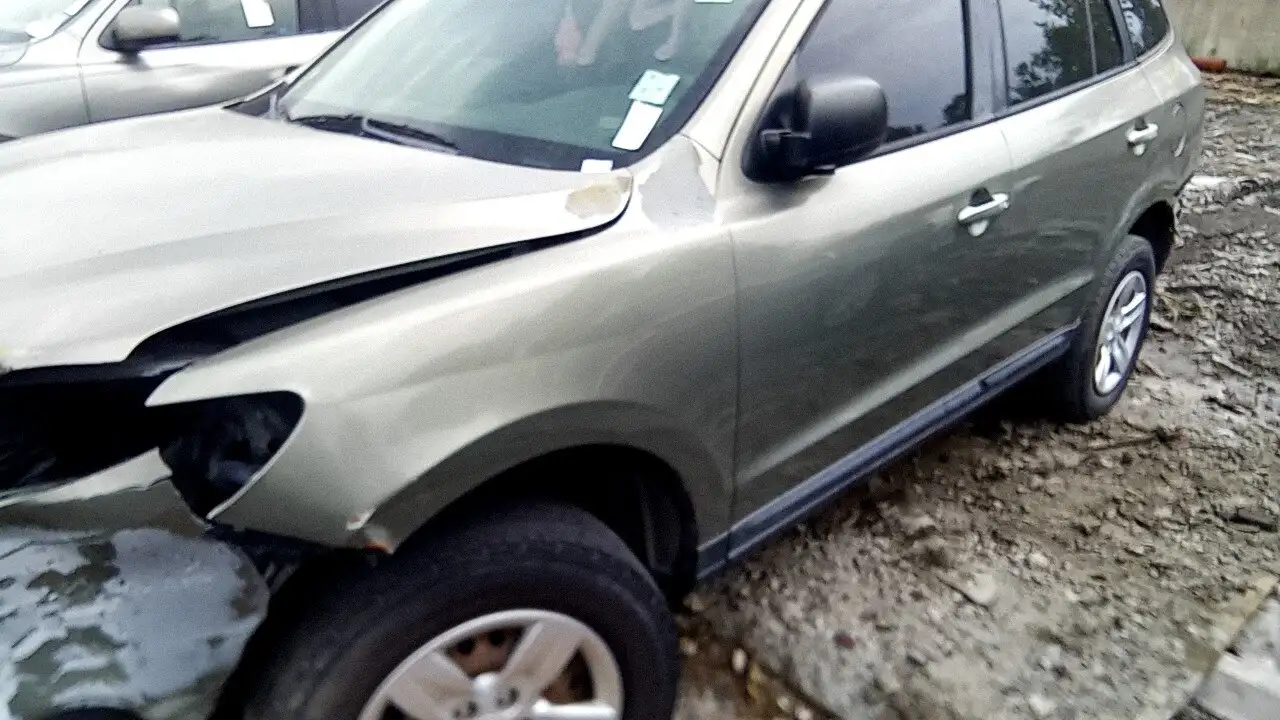 Photo of 2009 Hyundai Santa Fe