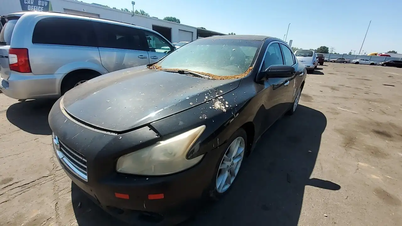 Photo of 2010 Nissan Maxima