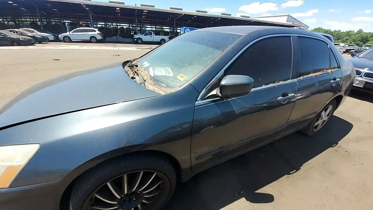 Photo of 2005 Honda Accord