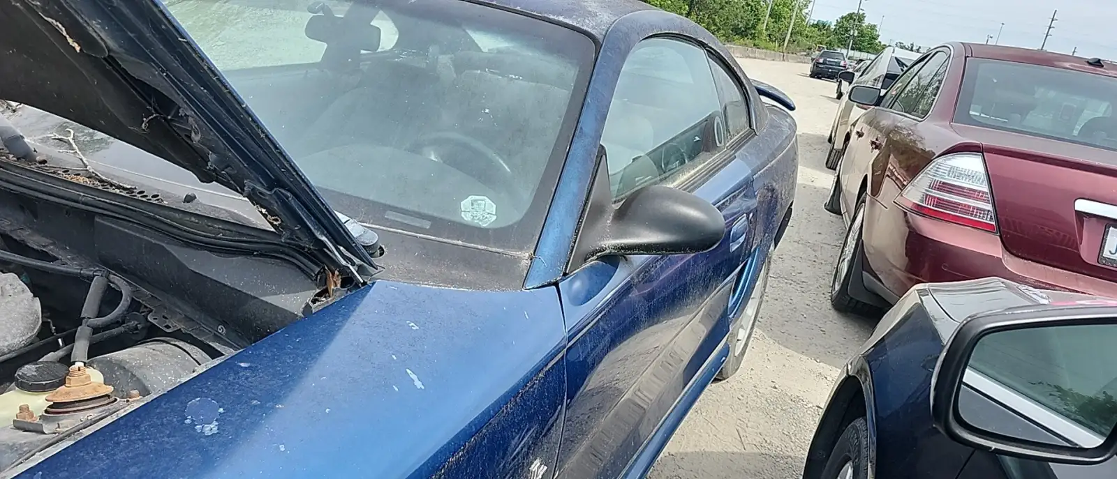 Photo of 1998 Ford Mustang