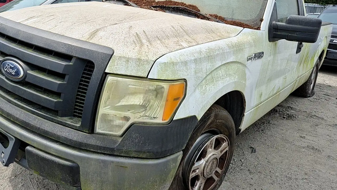Photo of 2010 Ford F-150