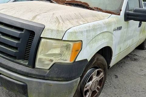 Photo of 2010 Ford F-150