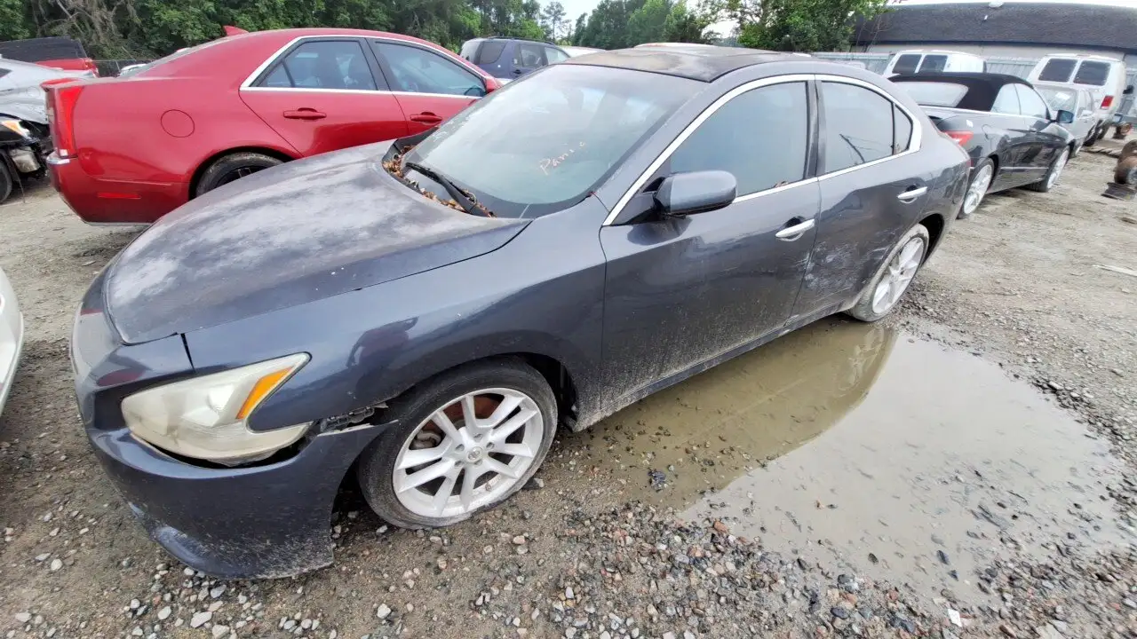 Photo of 2009 Nissan Maxima