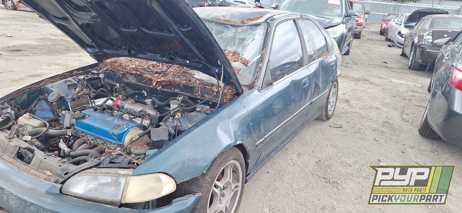 Photo of 1995 Honda Civic