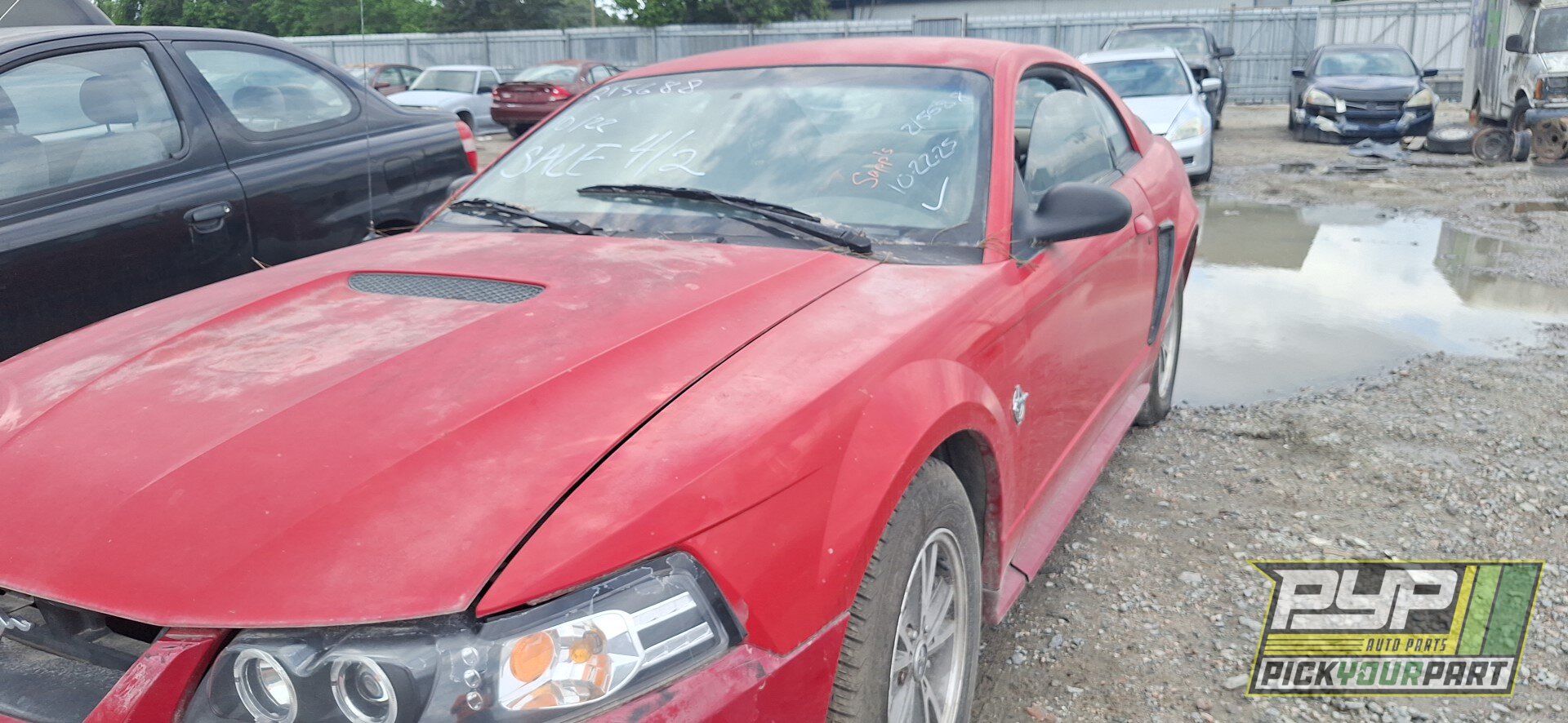 Photo of 1999 Ford Mustang