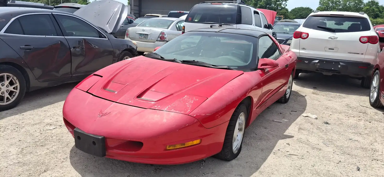 Photo of 1995 Pontiac Firebird