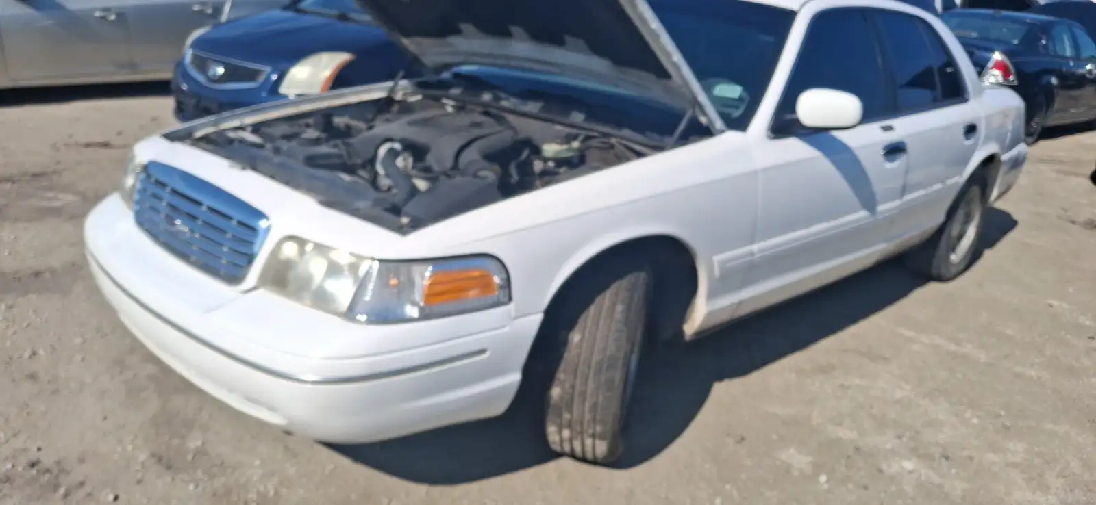 Photo of 1999 Ford Crown Victoria