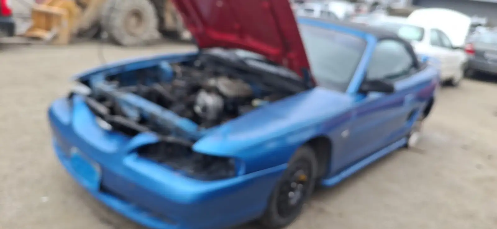 Photo of 1995 Ford Mustang