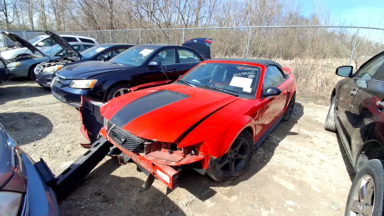 Photo of 2001 Ford Mustang