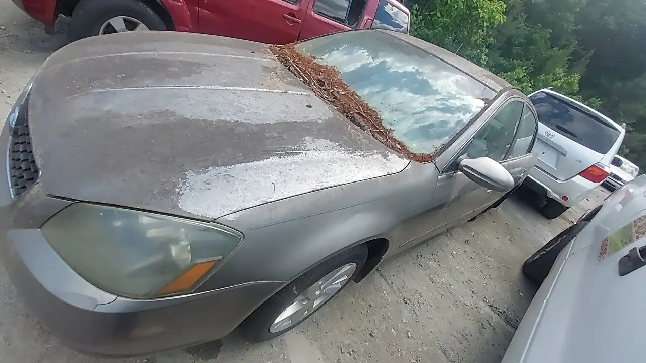 Photo of 2005 Nissan Altima