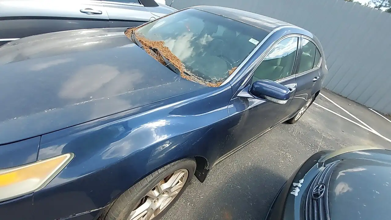Photo of 2009 Acura Tl